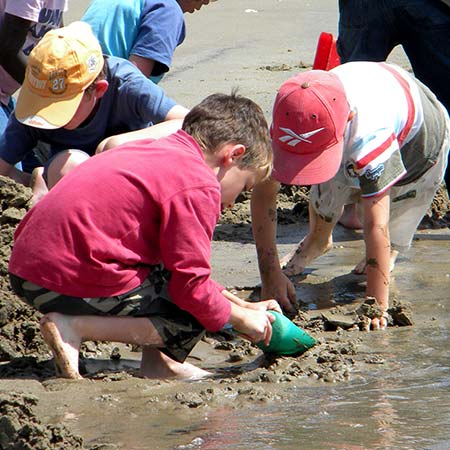 Centre de vacances Adrien Roche | Classes decouverte royan Charente Maritime