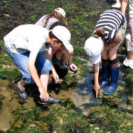 Centre de vacances Adrien Roche | Classes decouverte royan Charente Maritime