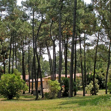 Centre de vacances Adrien Roche | sejours de vacances enfants ados royan Charente Maritime