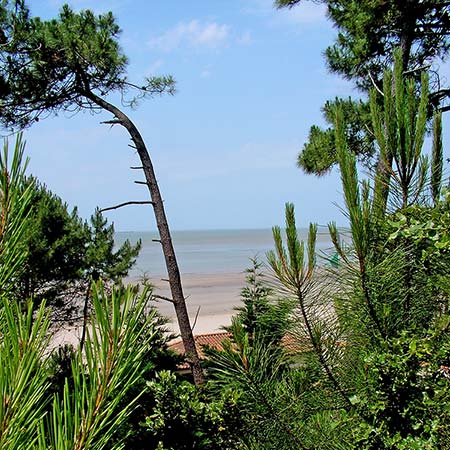 Centre de vacances Adrien Roche | Classes decouverte royan Charente Maritime