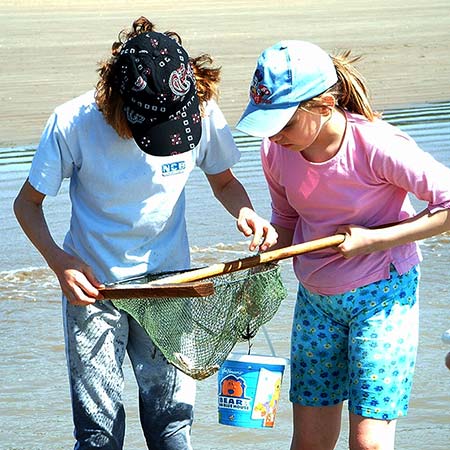 Centre de vacances Adrien Roche | Classes decouverte royan Charente Maritime