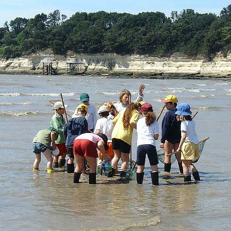 Centre de vacances Adrien Roche | Classes decouverte royan Charente Maritime