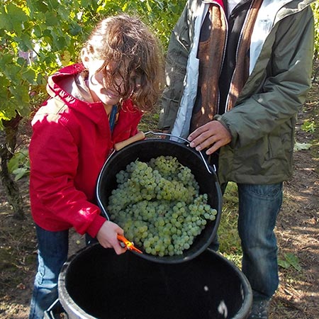 Centre de vacances Adrien Roche | Classes découverte Vendanges