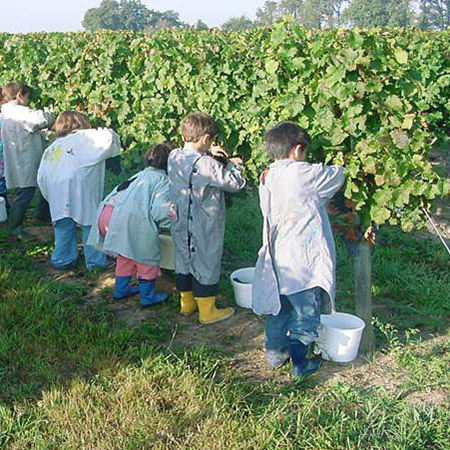 Centre de vacances Adrien Roche | Classes découverte Vendanges